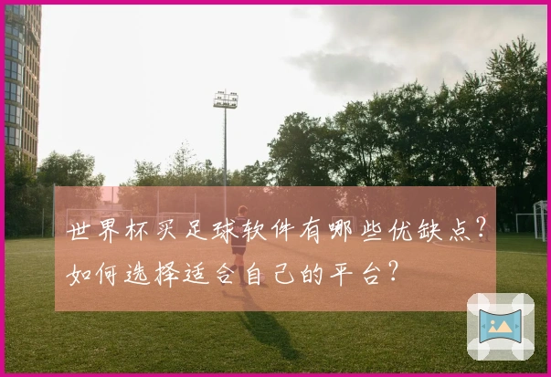世界杯买足球软件有哪些优缺点？如何选择适合自己的平台？
