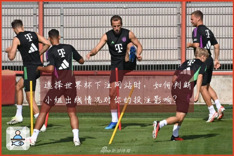 选择世界杯下注网站时，如何判断小组出线情况对你的投注影响？