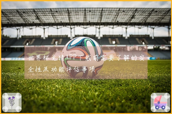 世界杯竞猜APP下载前需要了解的安全性及功能评估事项