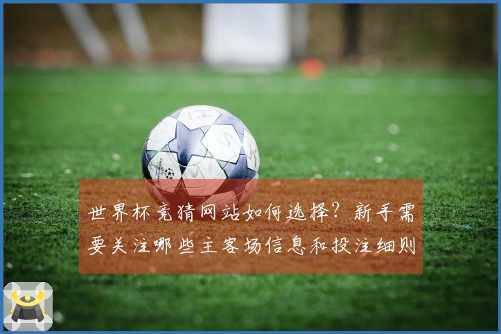 世界杯竞猜网站如何选择？新手需要关注哪些主客场信息和投注细则
