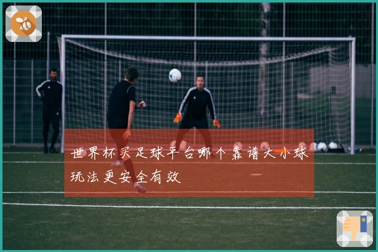 世界杯买足球平台哪个靠谱大小球玩法更安全有效