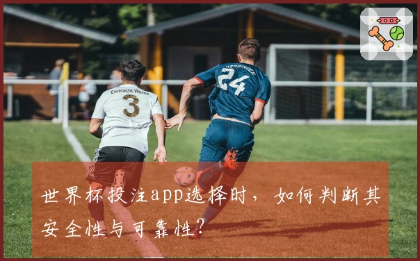 世界杯投注app选择时，如何判断其安全性与可靠性？