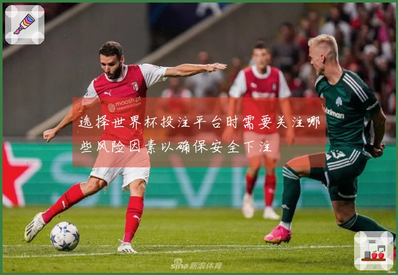 选择世界杯投注平台时需要关注哪些风险因素以确保安全下注