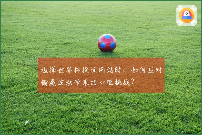 选择世界杯投注网站时，如何应对输赢波动带来的心理挑战？