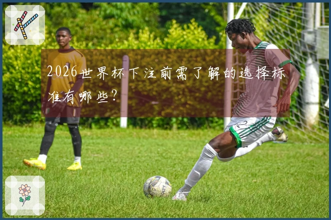 2026世界杯下注前需了解的选择标准有哪些？