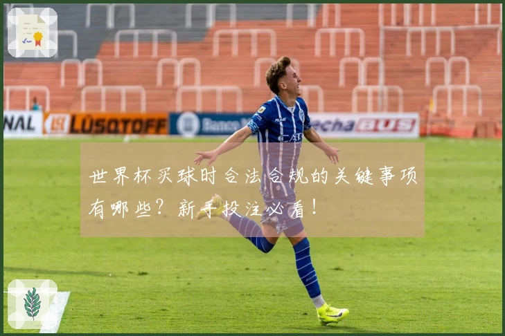 世界杯买球时合法合规的关键事项有哪些？新手投注必看！