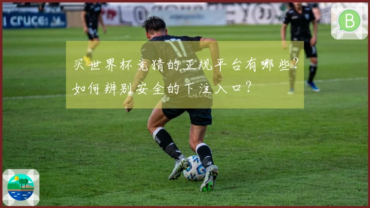 买世界杯竞猜的正规平台有哪些？如何辨别安全的下注入口？