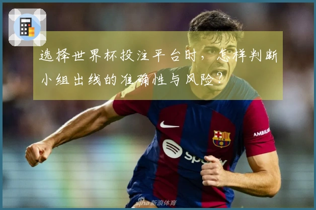 选择世界杯投注平台时，怎样判断小组出线的准确性与风险？