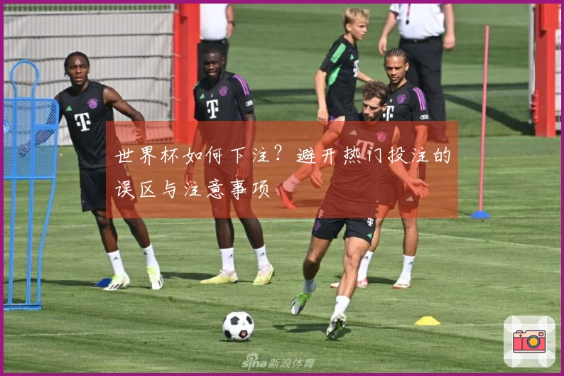 世界杯如何下注？避开热门投注的误区与注意事项