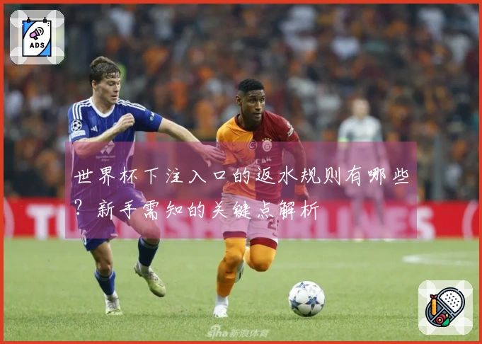 世界杯下注入口的返水规则有哪些？新手需知的关键点解析