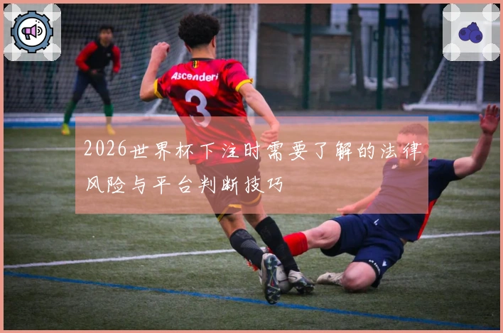 2026世界杯下注时需要了解的法律风险与平台判断技巧