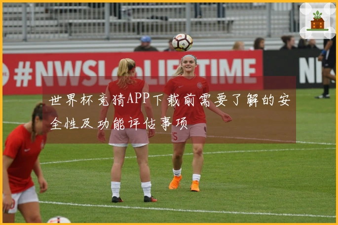 世界杯竞猜APP下载前需要了解的安全性及功能评估事项