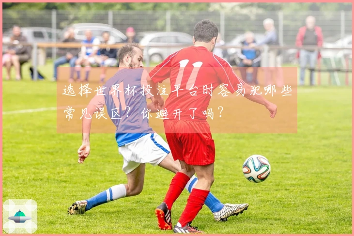 选择世界杯投注平台时容易犯哪些常见误区？你避开了吗？