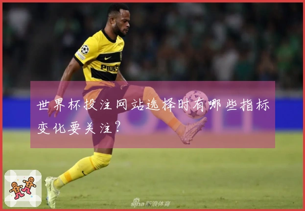 世界杯投注网站选择时有哪些指标变化要关注？
