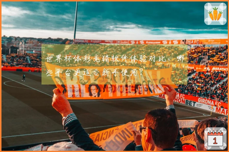 世界杯体彩竞猜软件体验对比，哪些平台更适合新手使用？